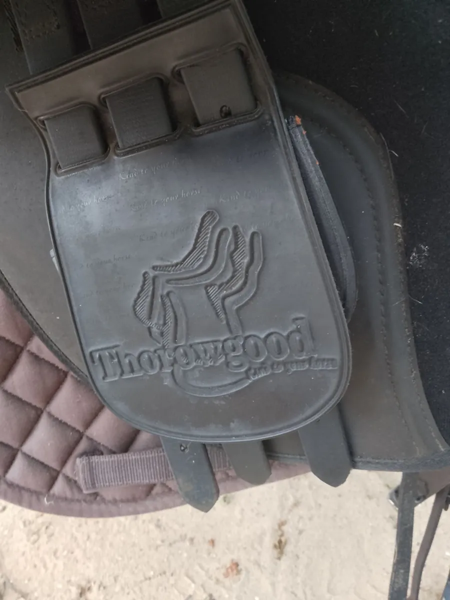 Saddle and Bridle - Image 2