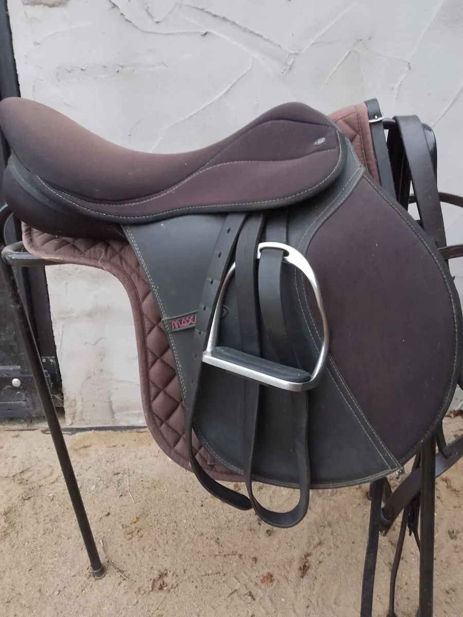 Saddle and Bridle - Image 4