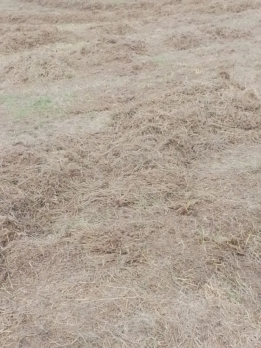 Bedding for cattle FREE. - Image 3