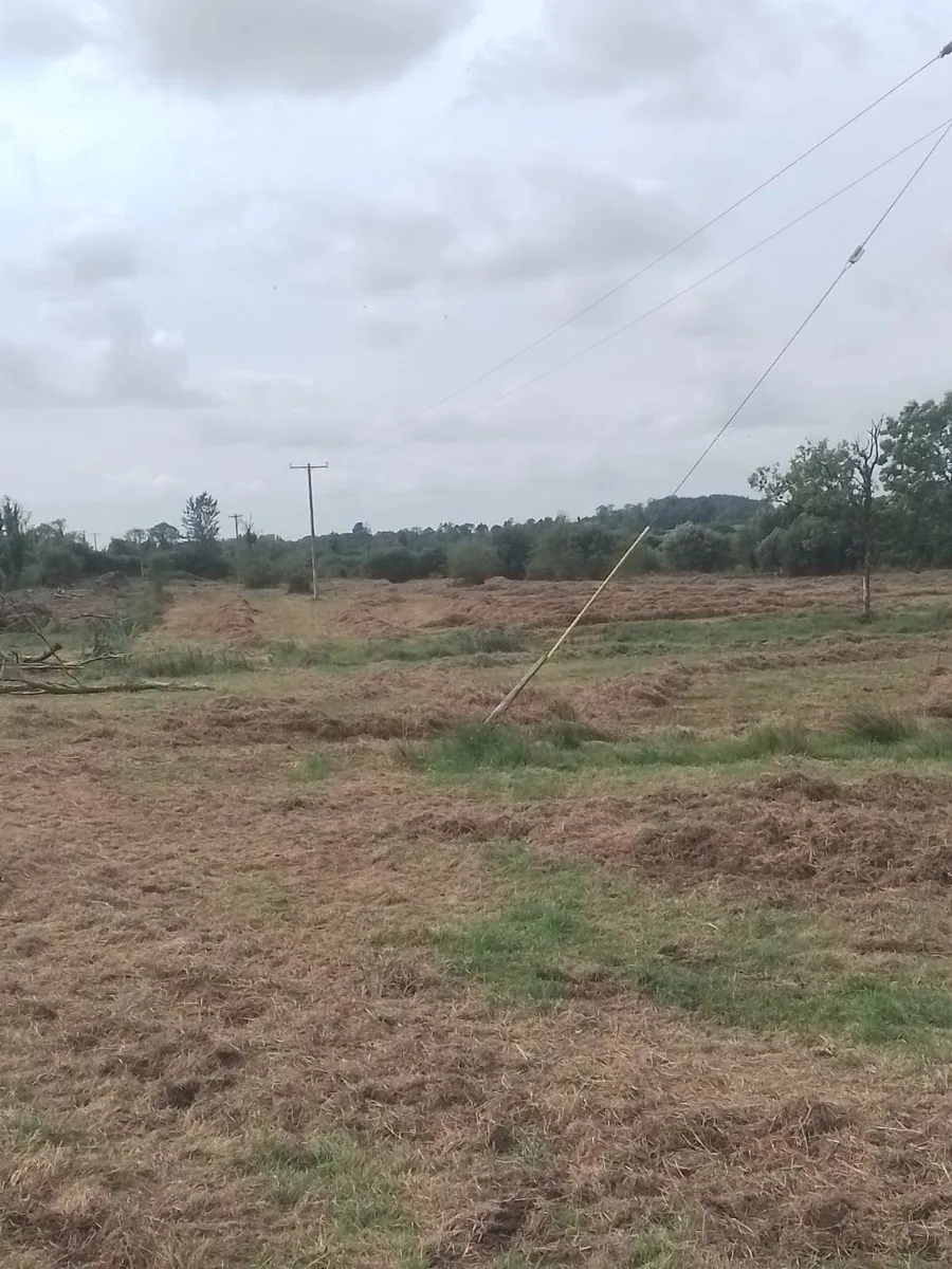 Bedding for cattle FREE. - Image 2