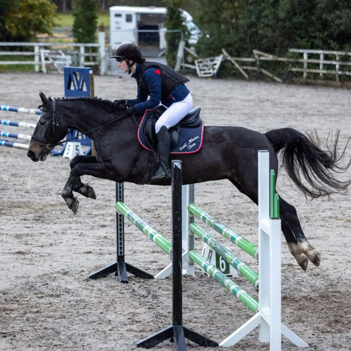 13 Year Old All-Rounder 15.1hh ISH mare for sale - Image 1