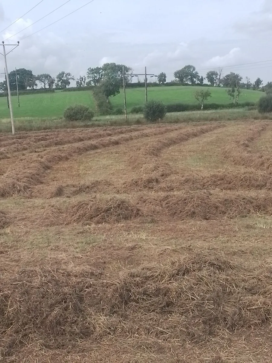 Bedding for cattle FREE. - Image 1