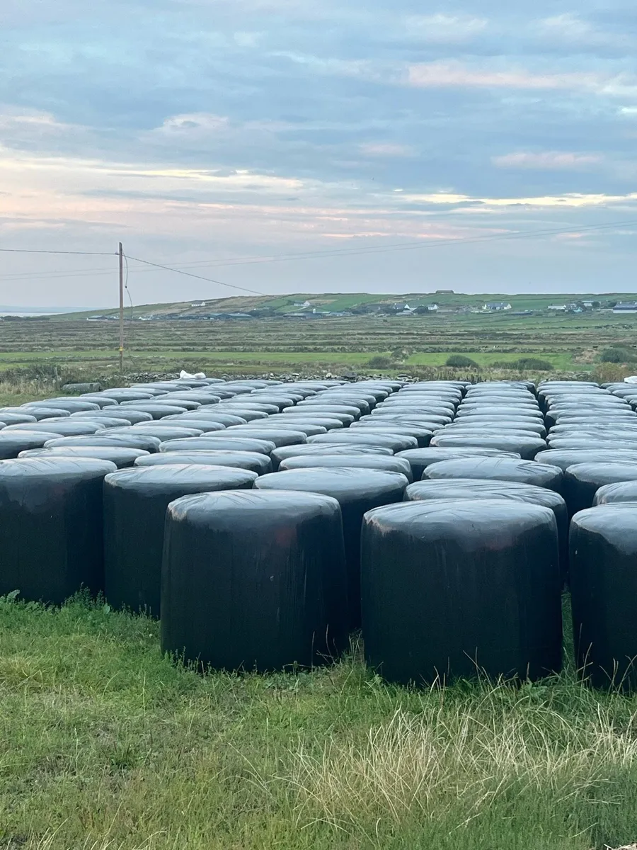Quality silage. 70 bales. €40 per bale.