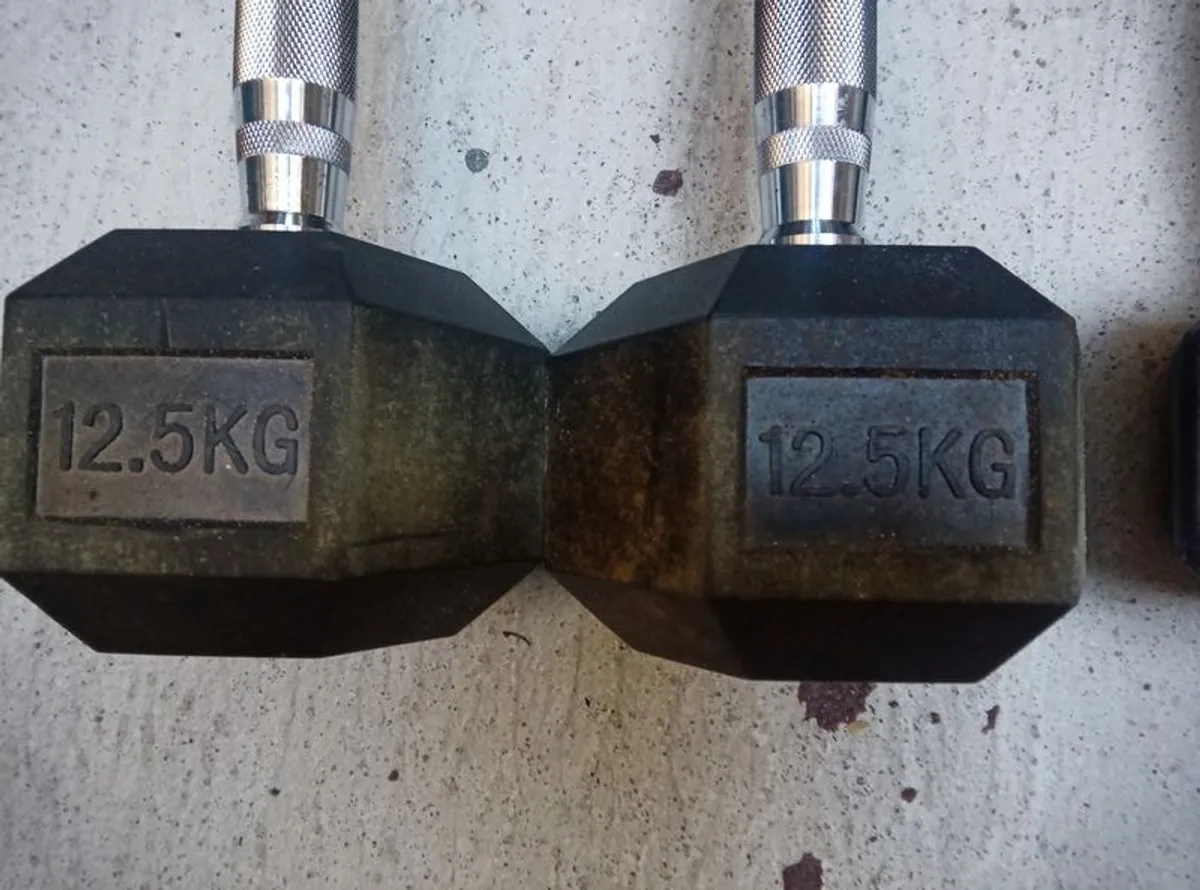 Dumbells Set For Sale - Image 4