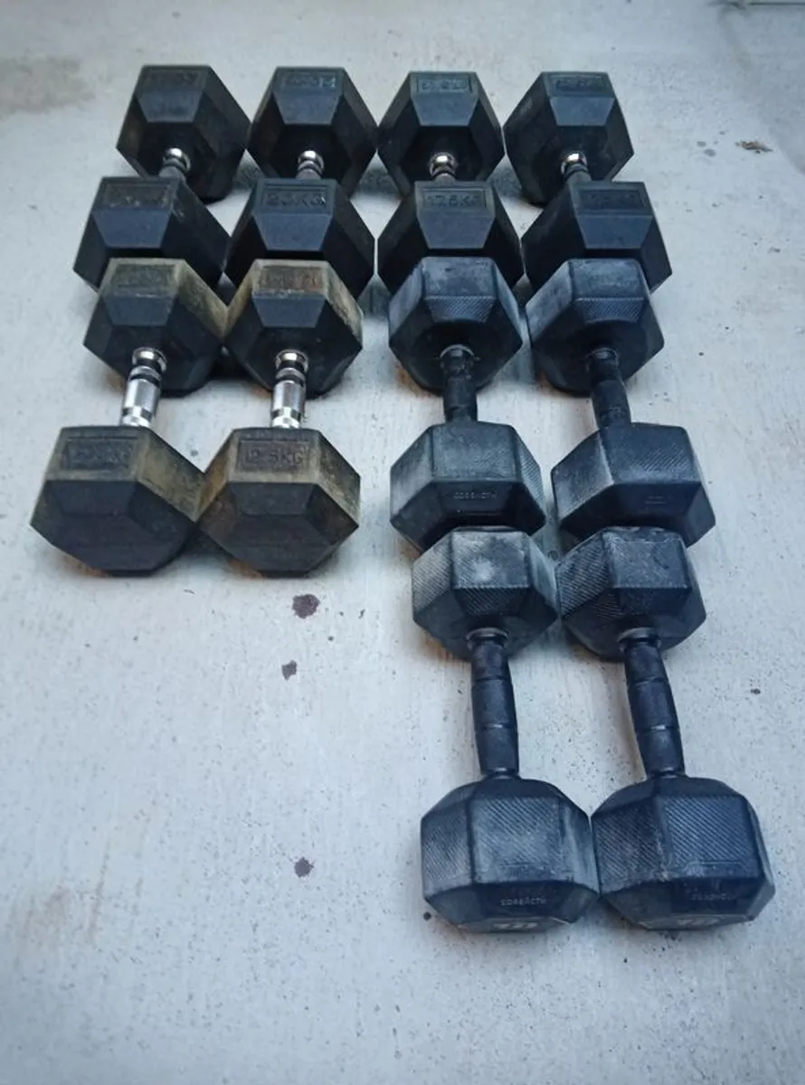 Dumbells Set For Sale - Image 1