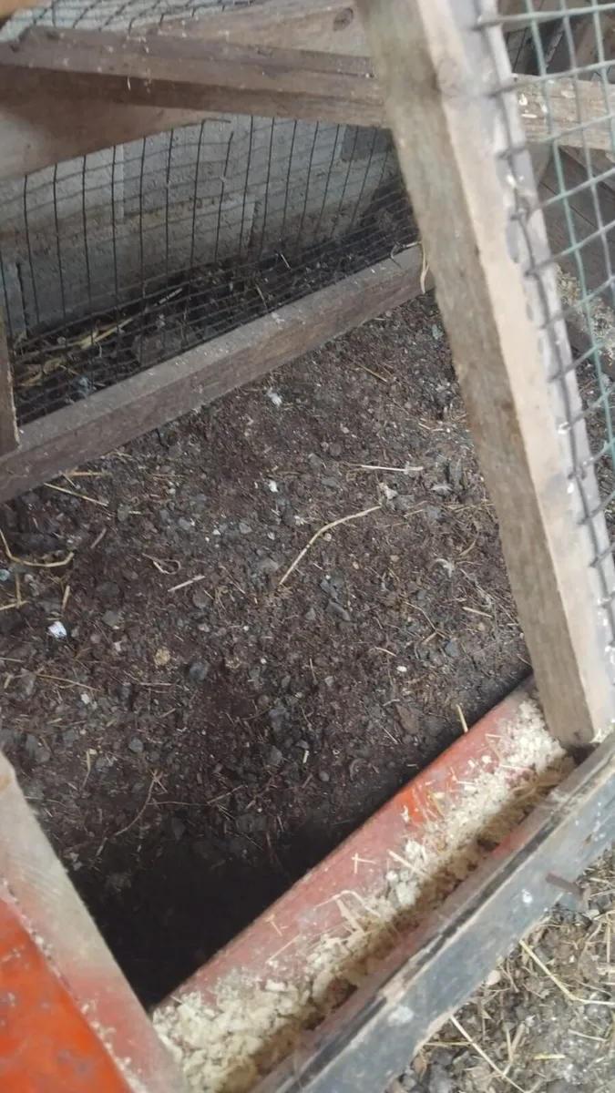 Rabbit/Small Animal House - Image 2