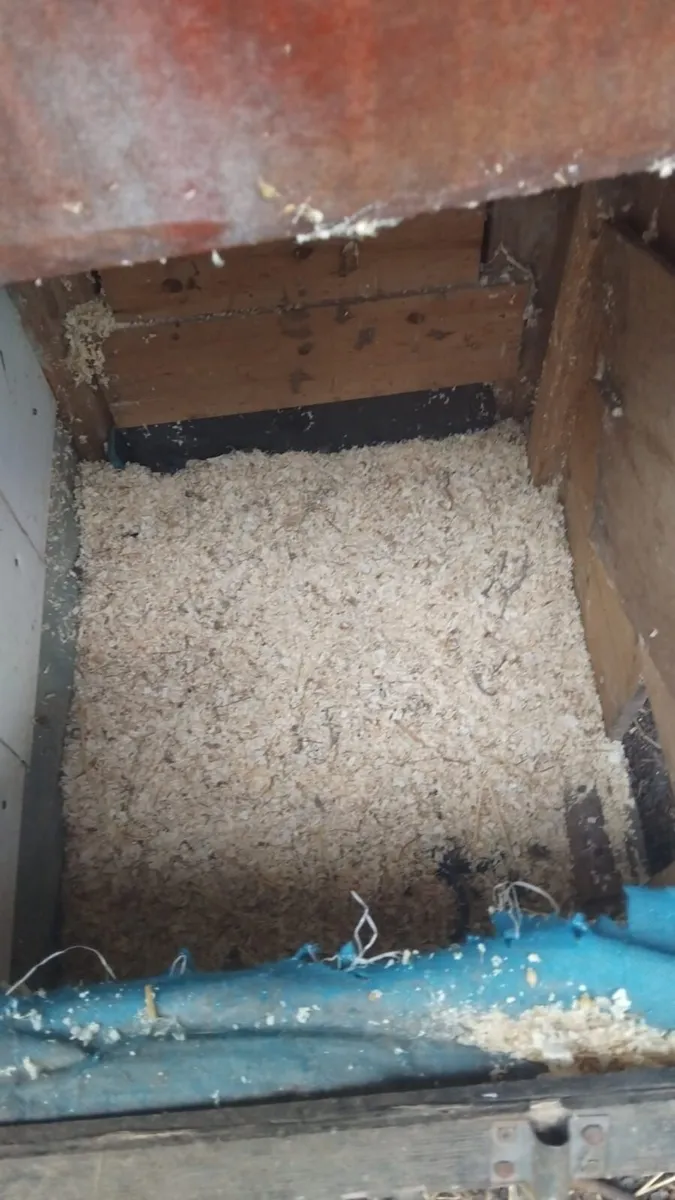 Rabbit/Small Animal House - Image 3