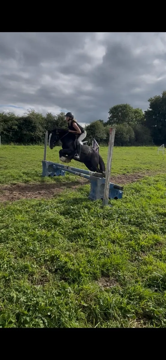 12.2 bombproof pony - Image 3