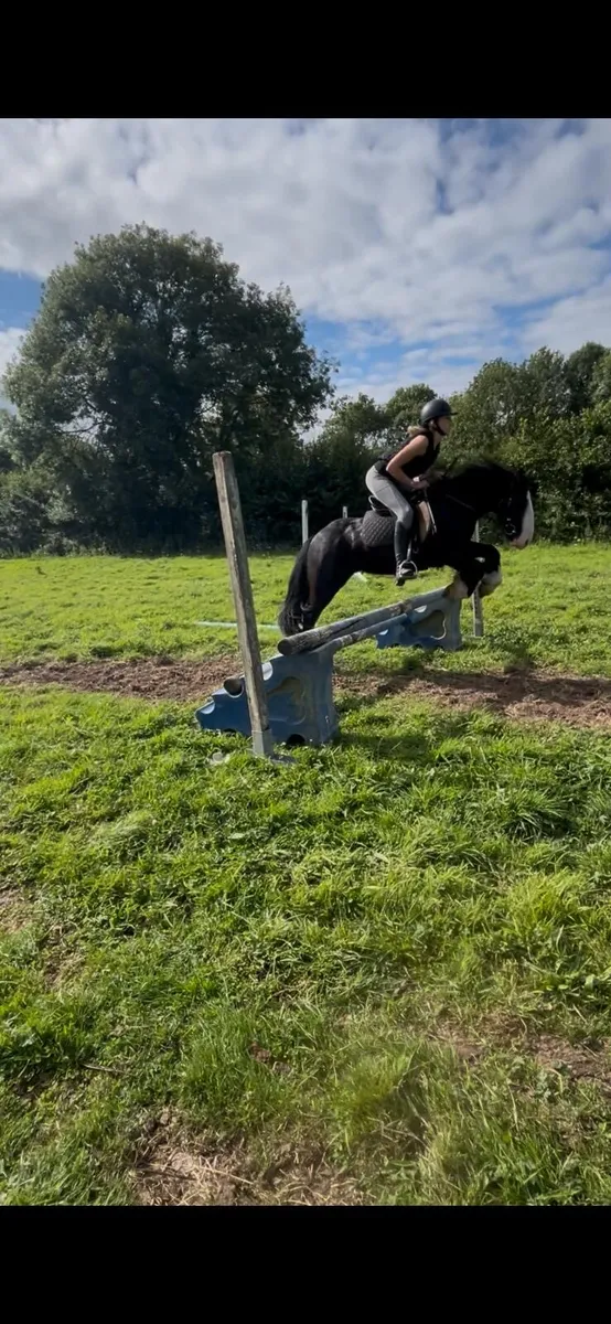 12.2 bombproof pony - Image 4
