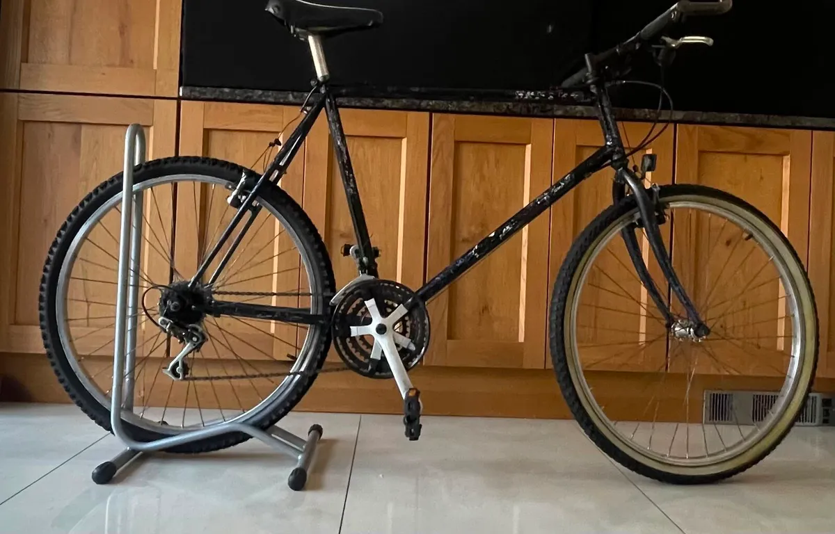 Bicycle FULLY SERVICED ready to ride - Image 1