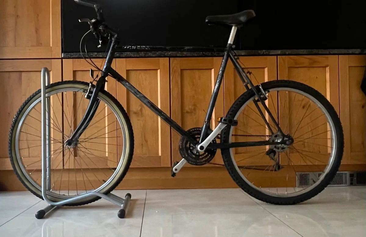 Bicycle FULLY SERVICED ready to ride - Image 2