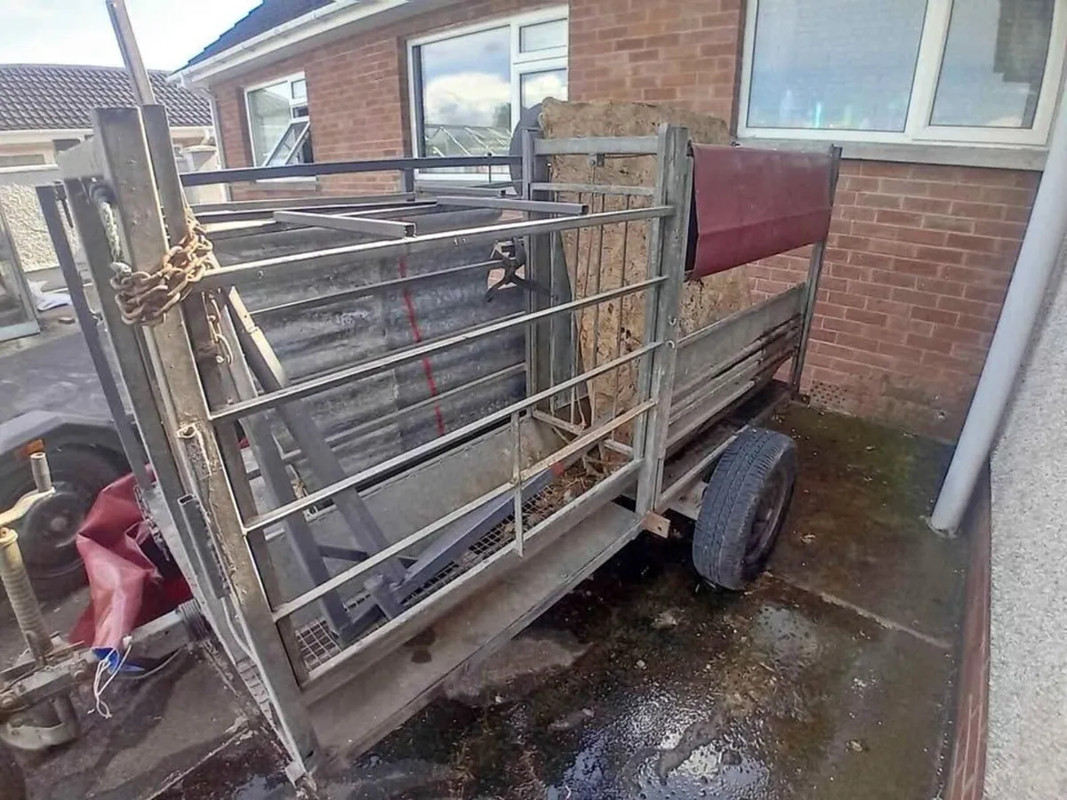 Harrington sheep crutching/shearing trailer - Image 2