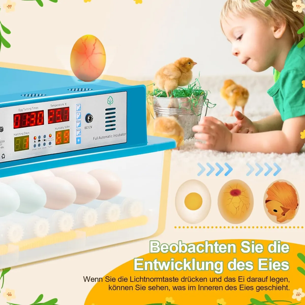 64 Egg Automatic Incubator – Digital Control - Image 4