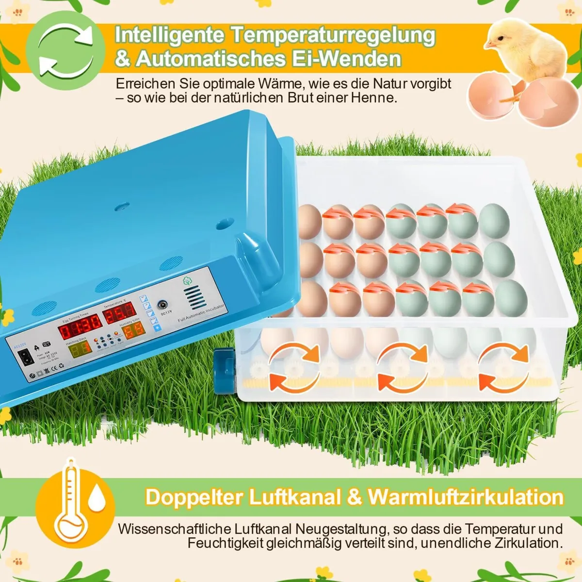 64 Egg Automatic Incubator – Digital Control - Image 3