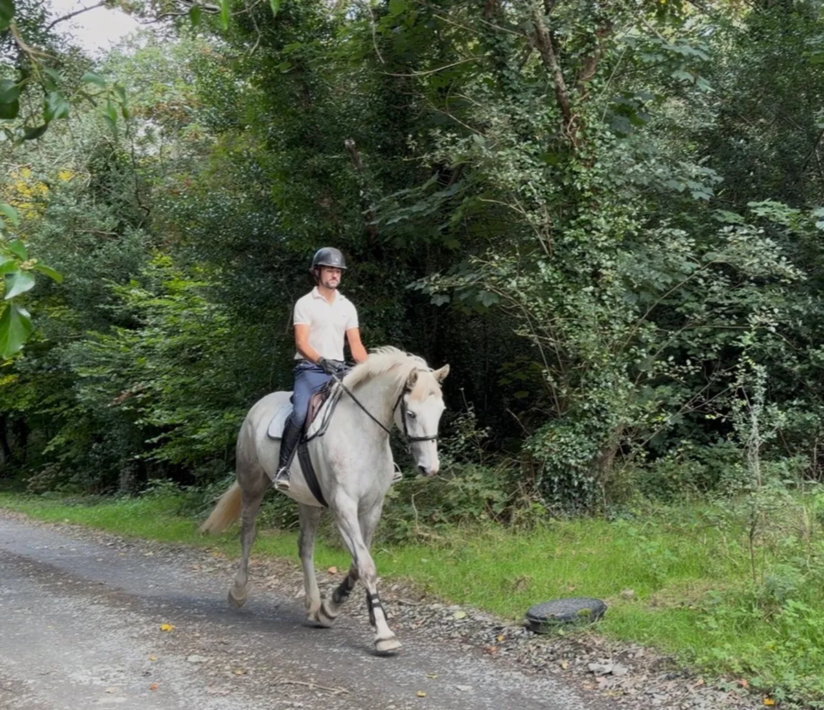 17h, class 1 ID mare, 2023 - Image 3
