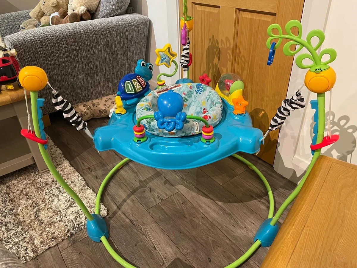 Baby Einstein jumper - Image 1