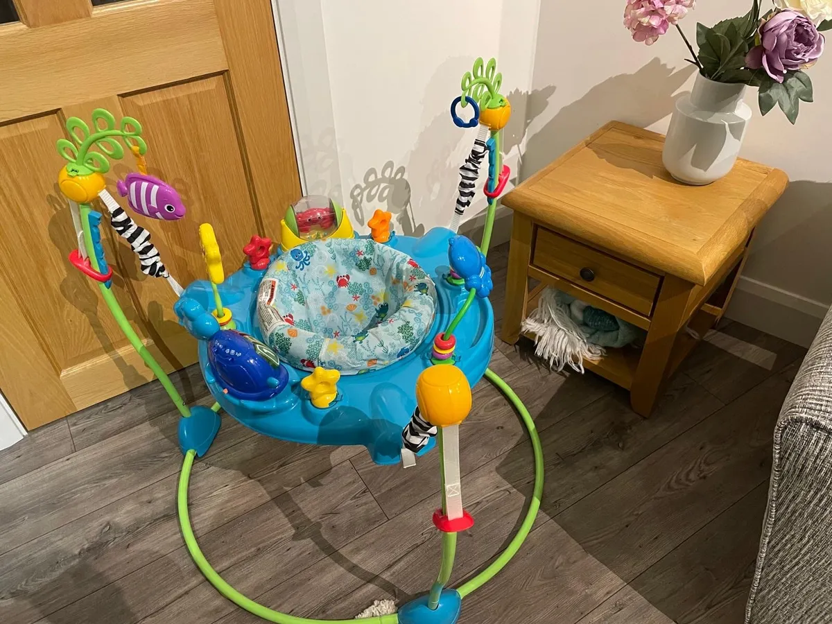 Baby Einstein jumper - Image 2