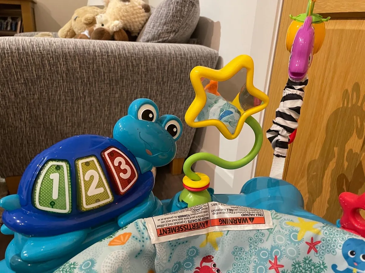 Baby Einstein jumper - Image 4