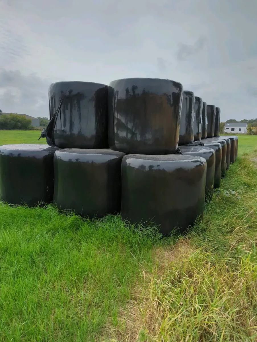 Haylage - Image 1