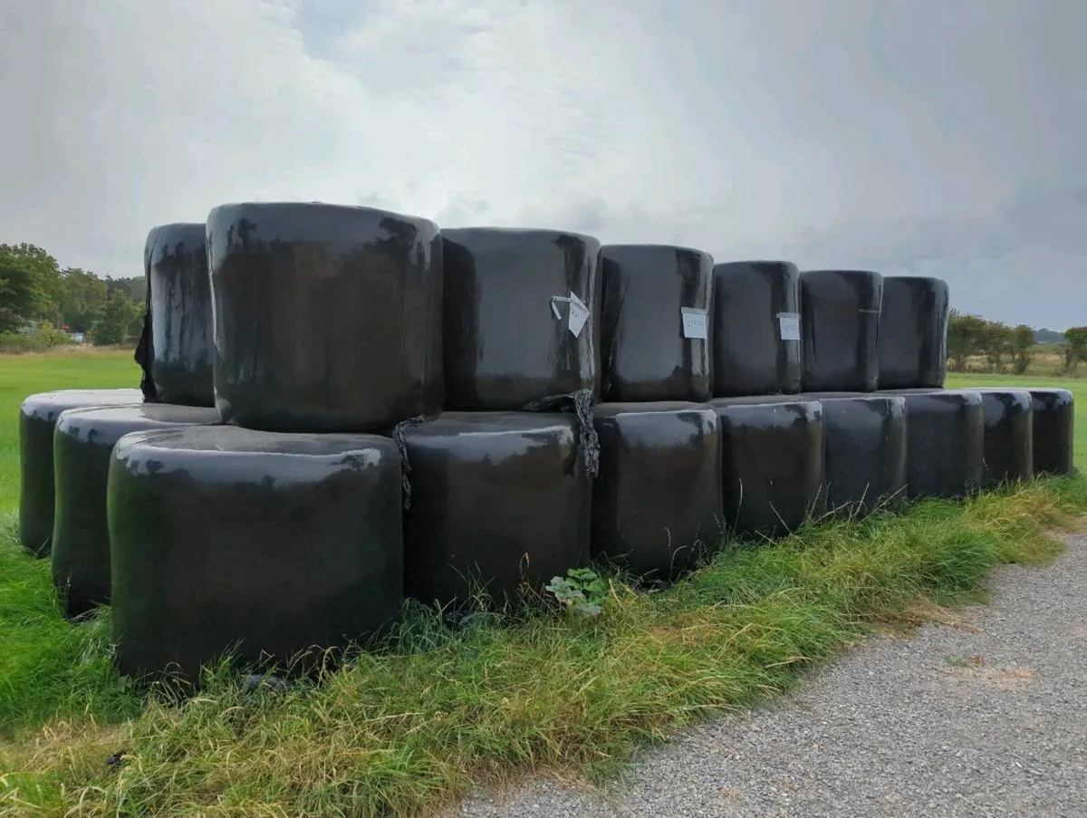 Haylage - Image 2