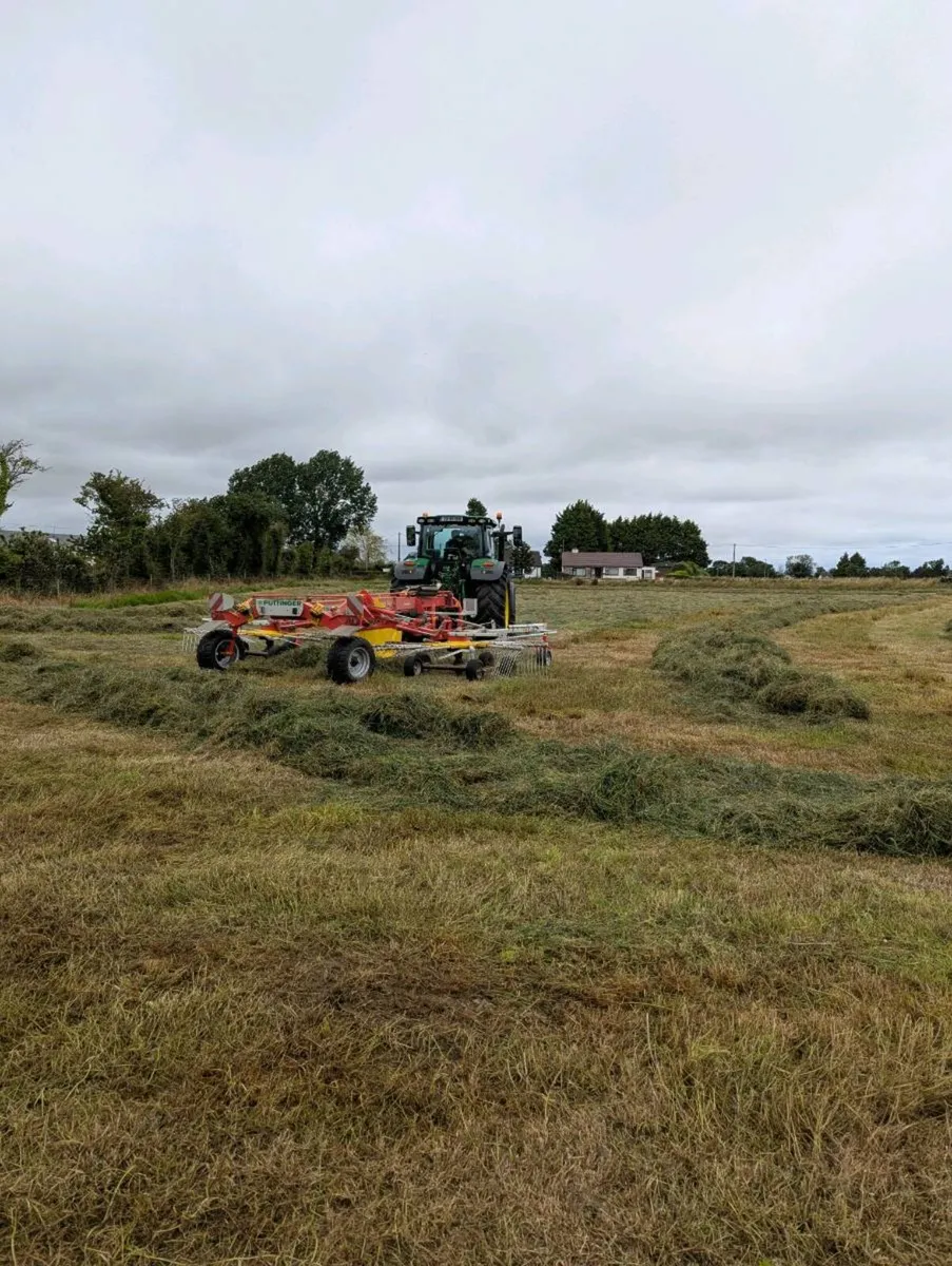 Haylage - Image 3