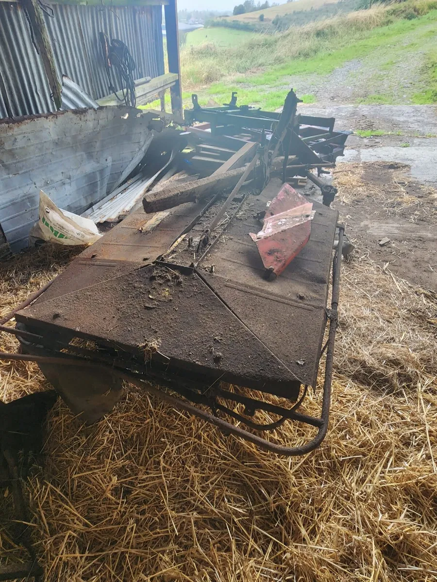 Rotary Mower - Image 1
