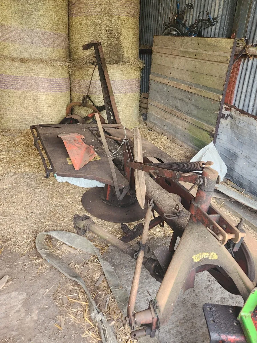 Rotary Mower - Image 2