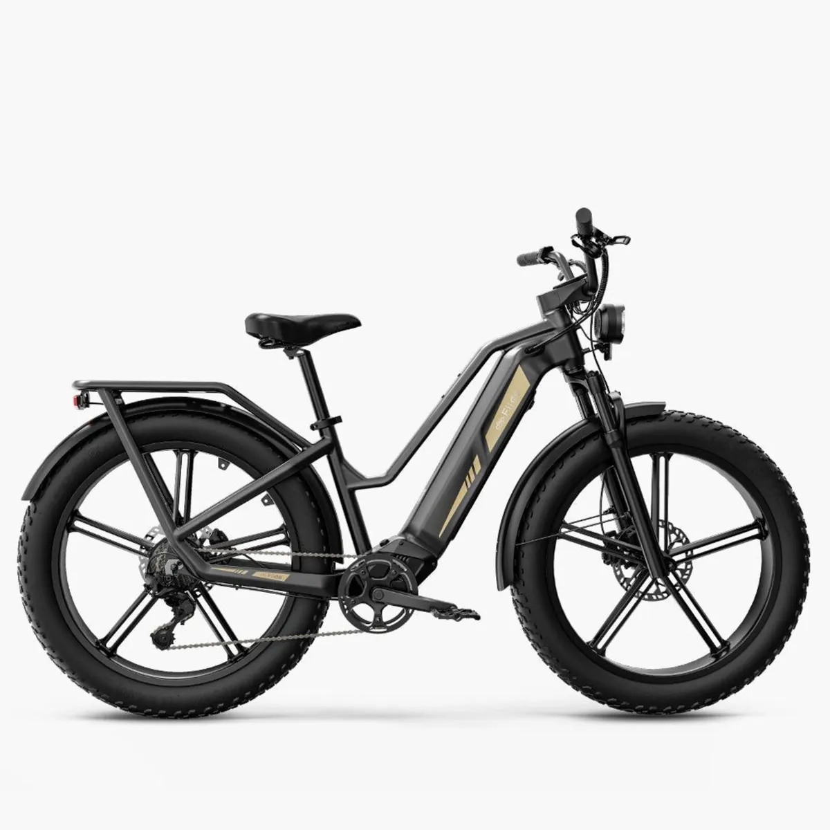 FIIDO TITAN CARGO Fat Tire Touring Electric Bike