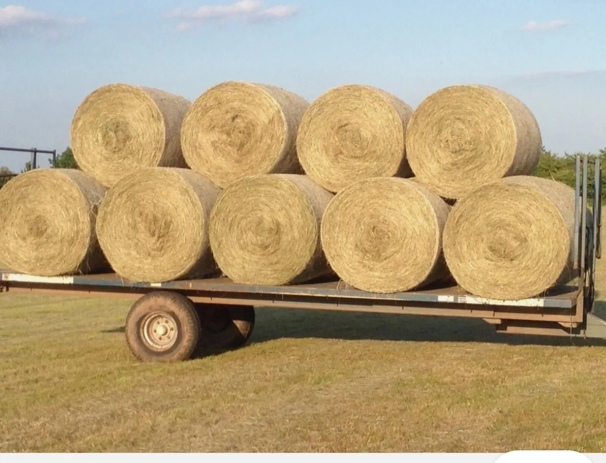 Round Bales of Hay