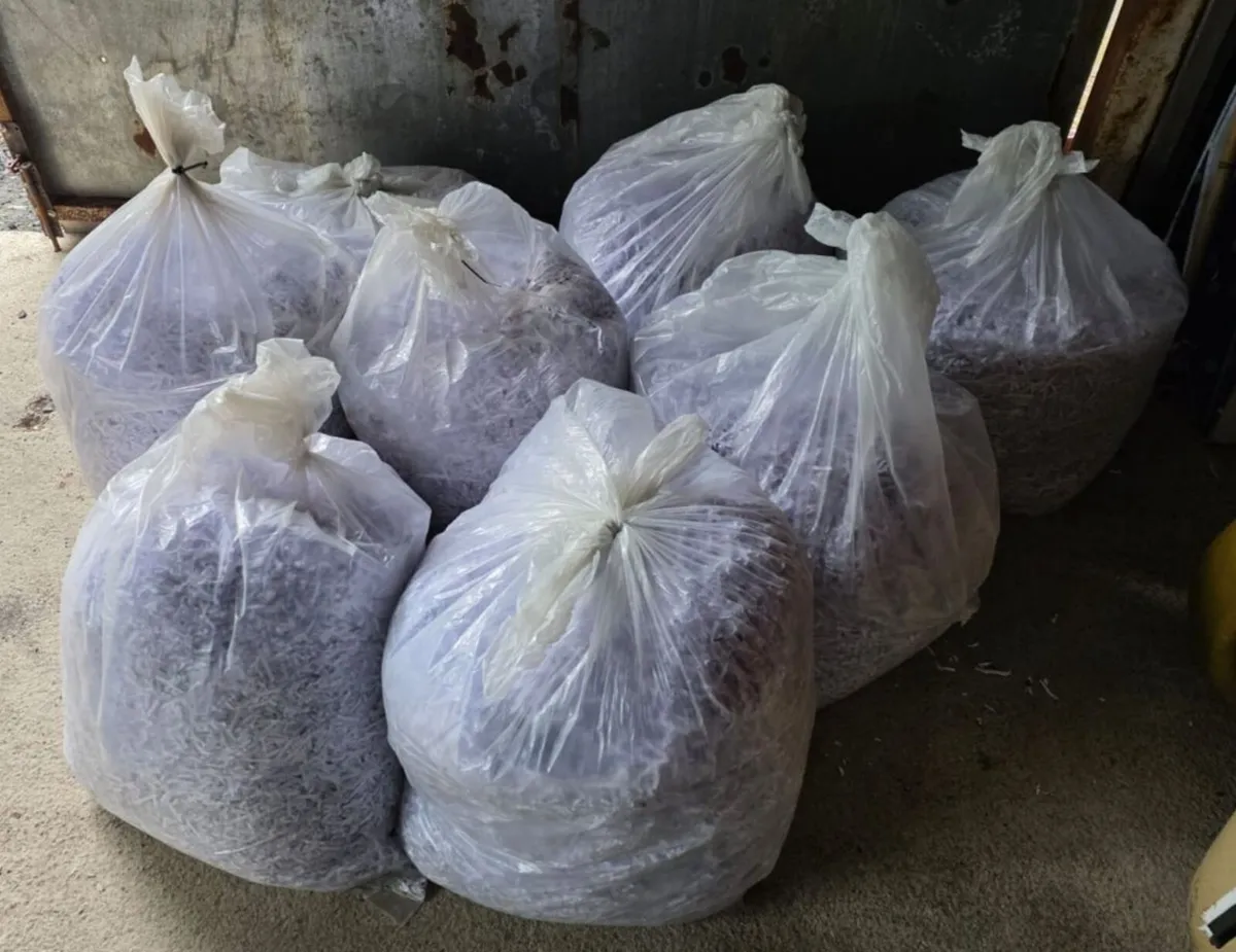 Shredded paper - Free