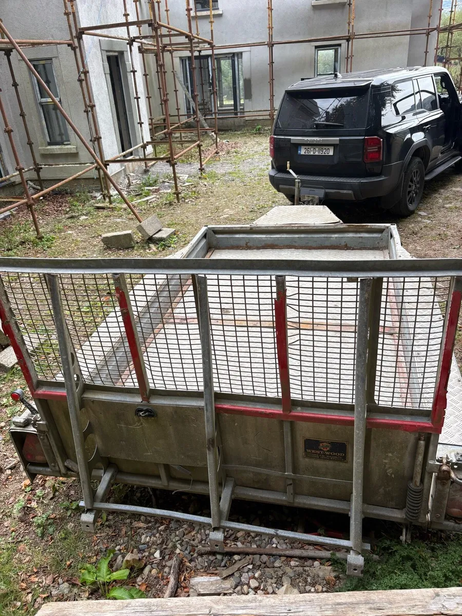 Ifor Williams 10 x 6 plant trailer - Image 3