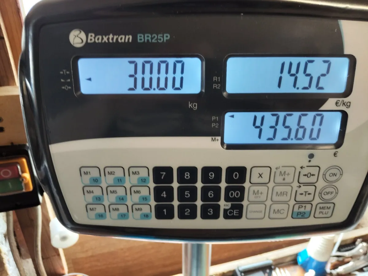 New retail weighing scales - Image 3