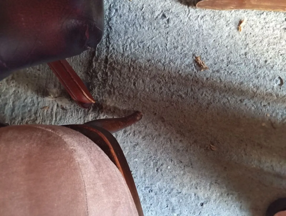 Ercol easy armchair - Image 3