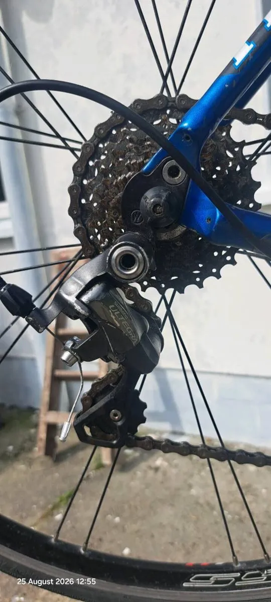 Trek road bike - Image 2