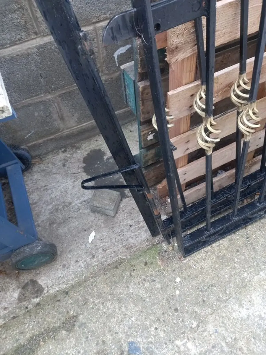 Beautiful gates perfect condition - Image 3