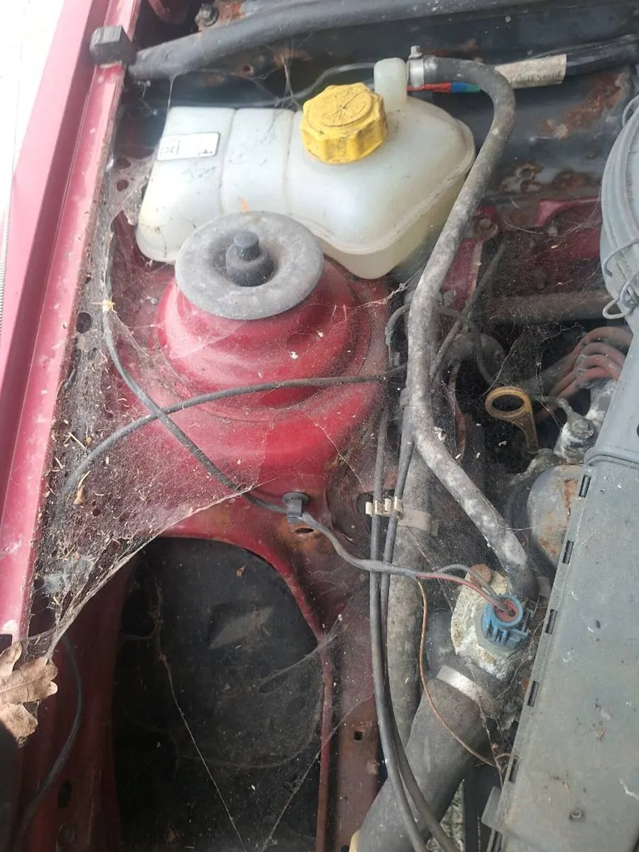Ford fiesta - Image 2