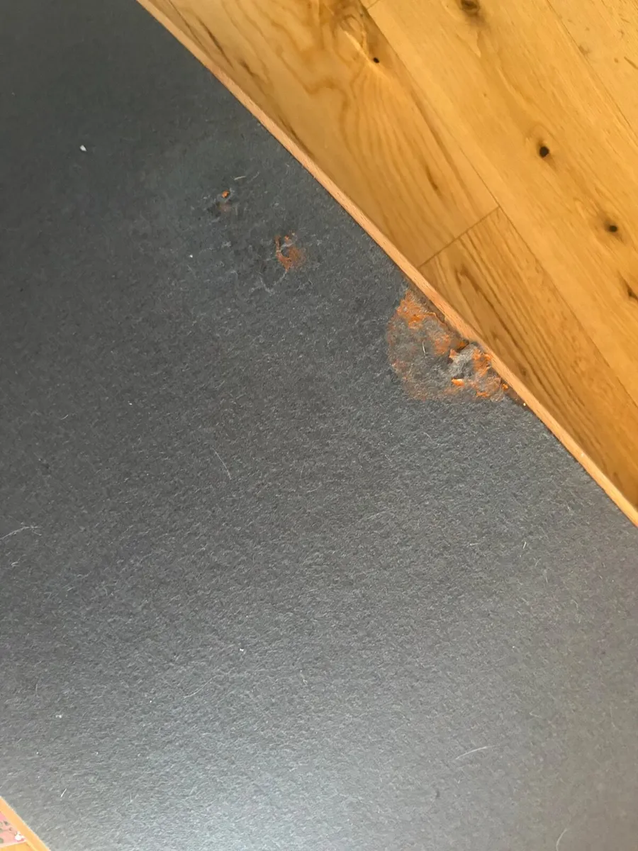 Wobbel Board - Image 4