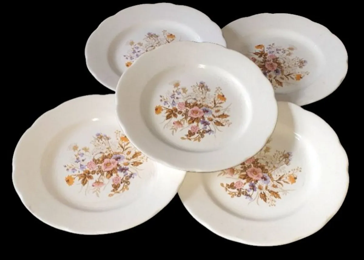 Beautiful Vintage Floral Plates (Set of 5) - Image 1