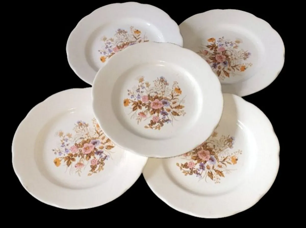 Beautiful Vintage Floral Plates (Set of 5) - Image 2