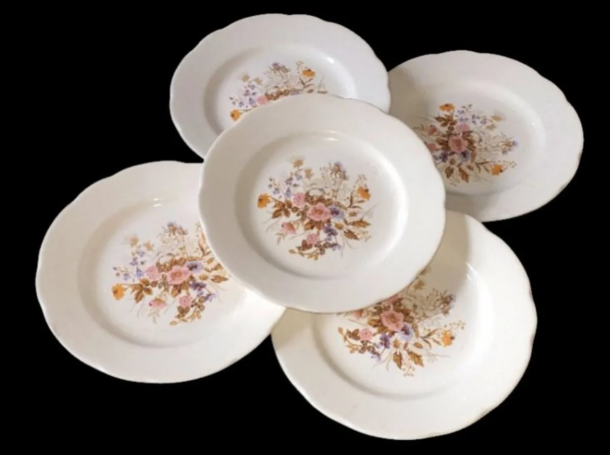 Beautiful Vintage Floral Plates (Set of 5) - Image 3