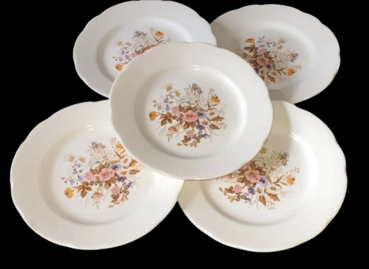 Beautiful Vintage Floral Plates (Set of 5) - Image 4