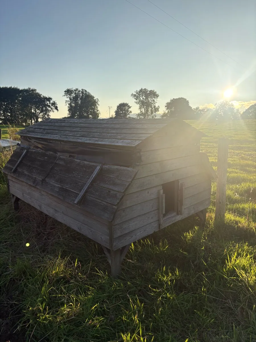 Chicken coop - Image 1