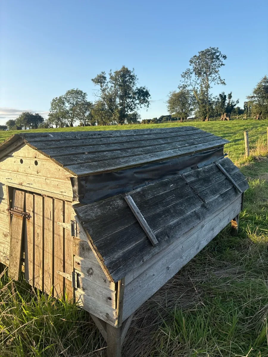 Chicken coop - Image 3