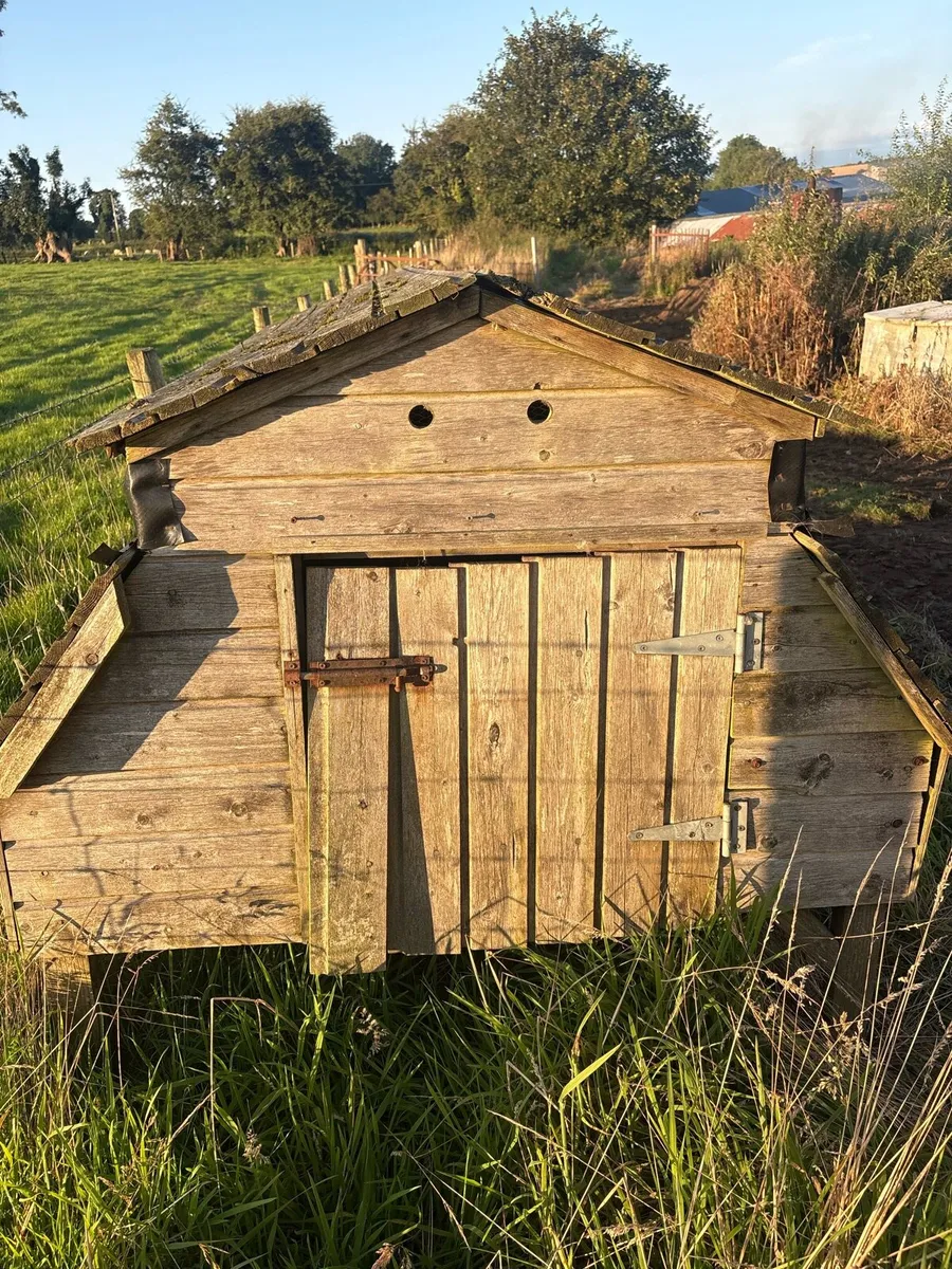 Chicken coop - Image 4