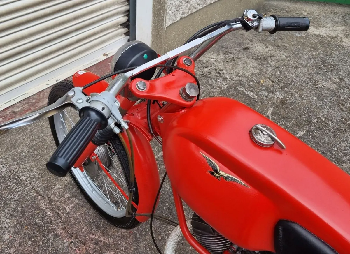 Moto Guzzi Dingo 49 Super - Image 4