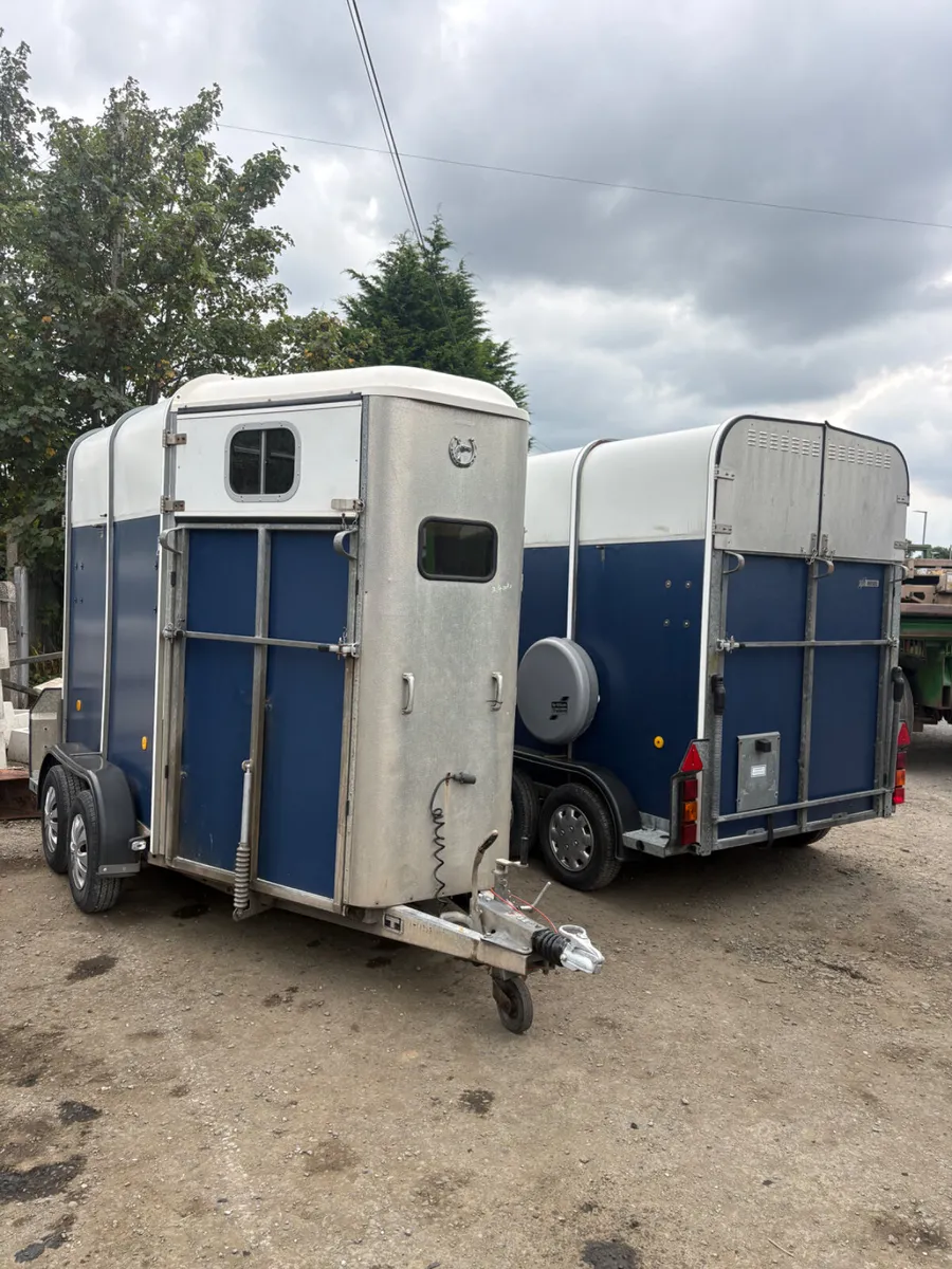 Ifor Williams 505 horse box - Image 1