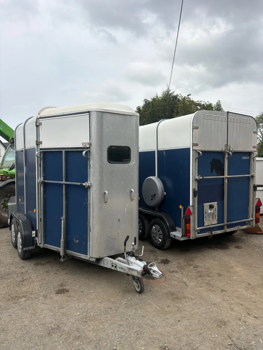 Ifor Williams 505 horse box - Image 2
