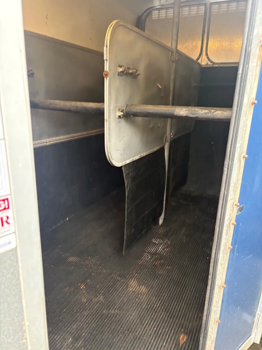 Ifor Williams 505 horse box - Image 4