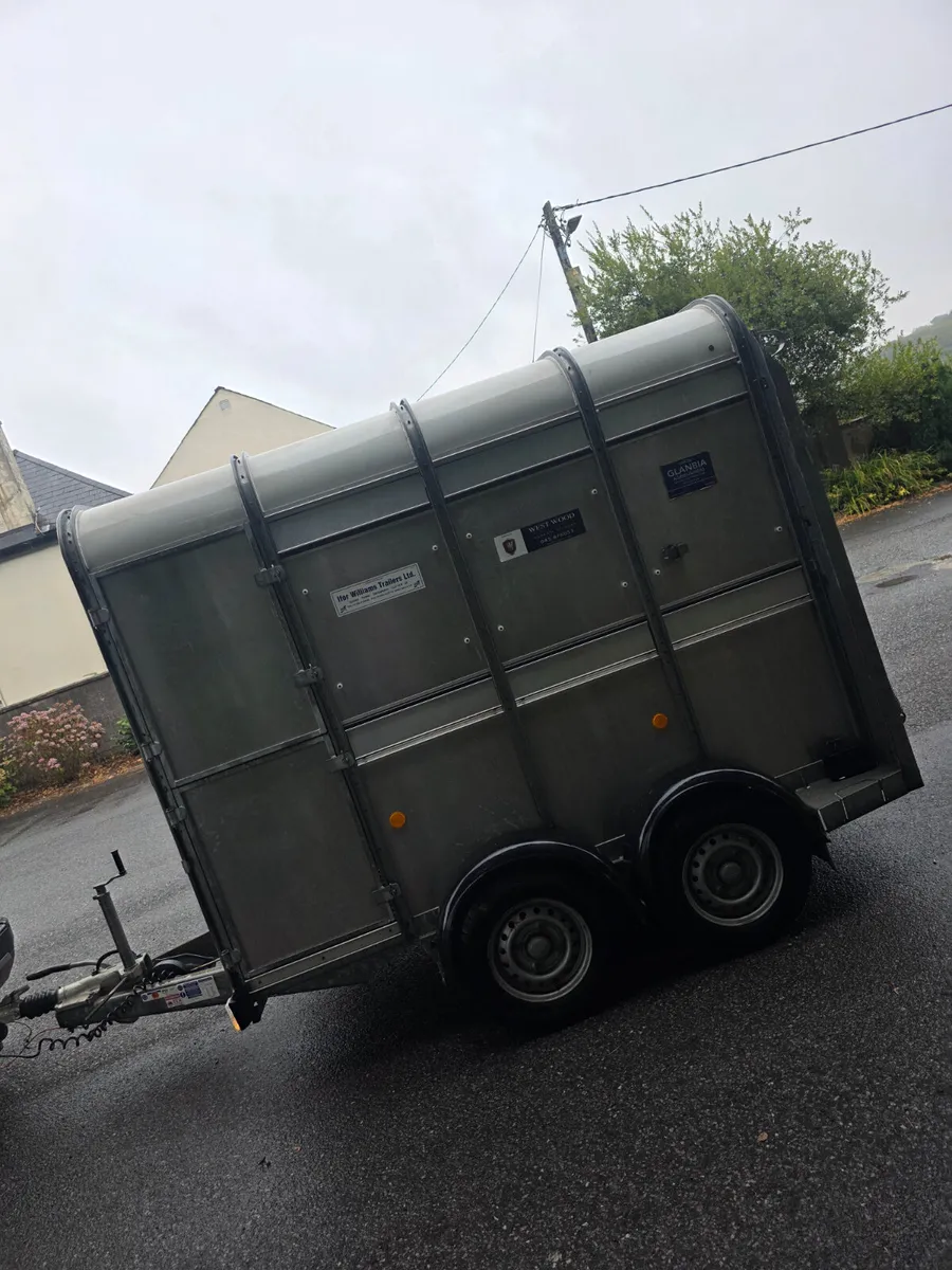 As new 8ft ifor Williams cattle box - Image 4
