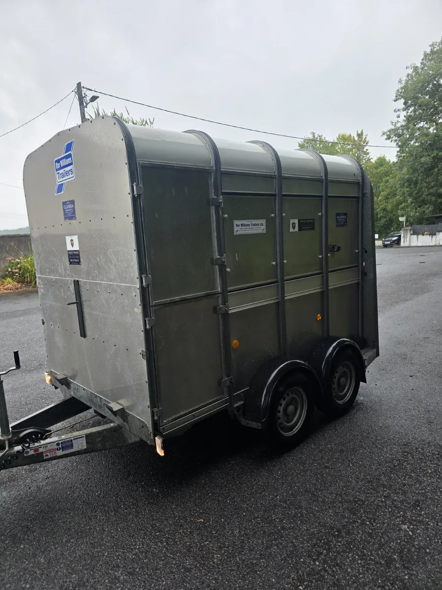 As new 8ft ifor Williams cattle box - Image 3